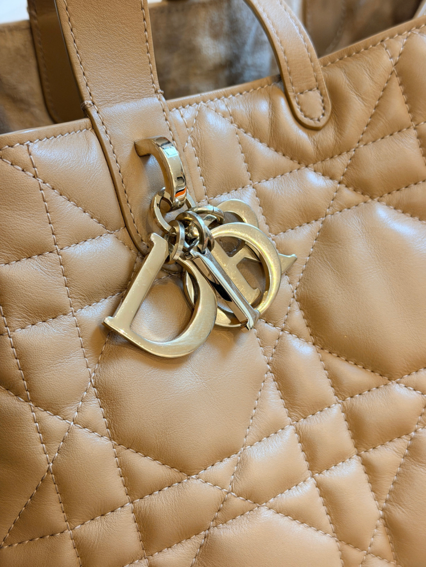 DIOR | Sac Dior Toujours Medium