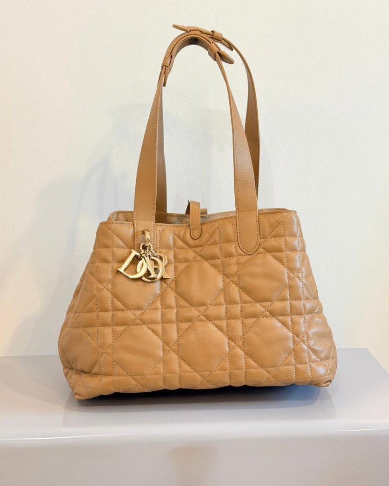 DIOR | Sac Dior Toujours Medium