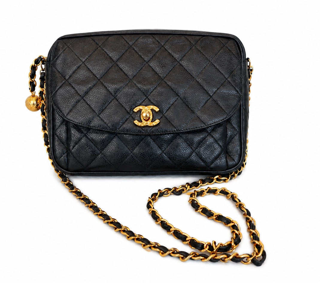Chanel Camera Flap bag + Entrupy