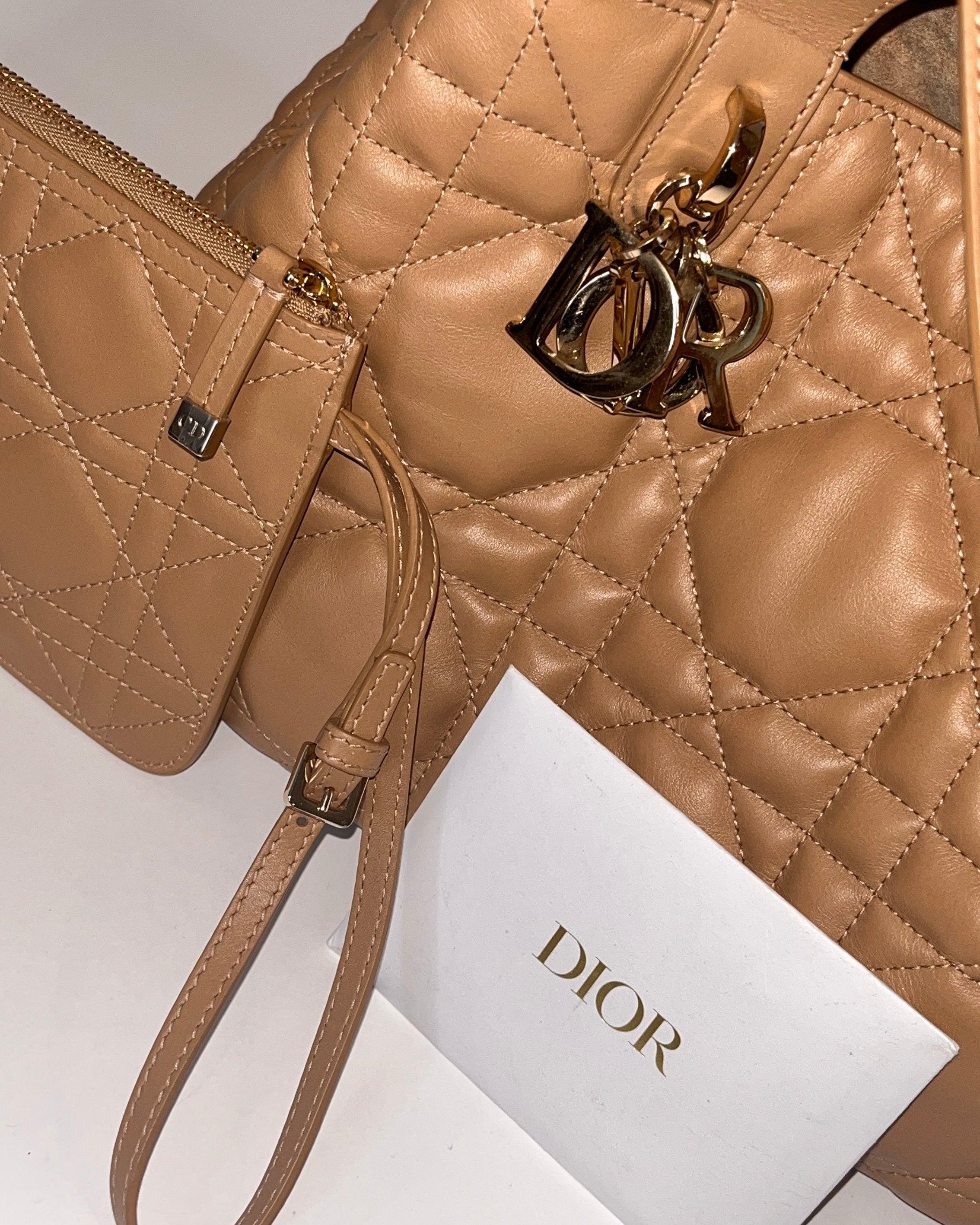 DIOR | Sac Dior Toujours Medium