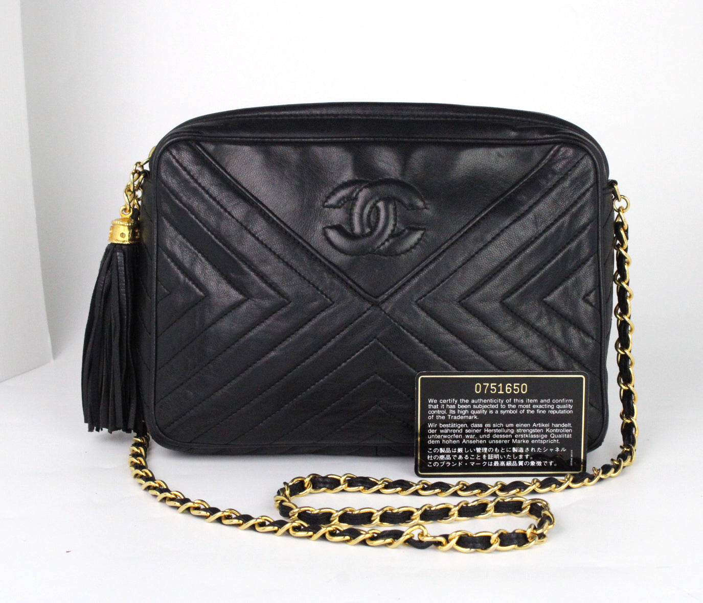 CHANEL Camera Chevrons Pompon Lambskin