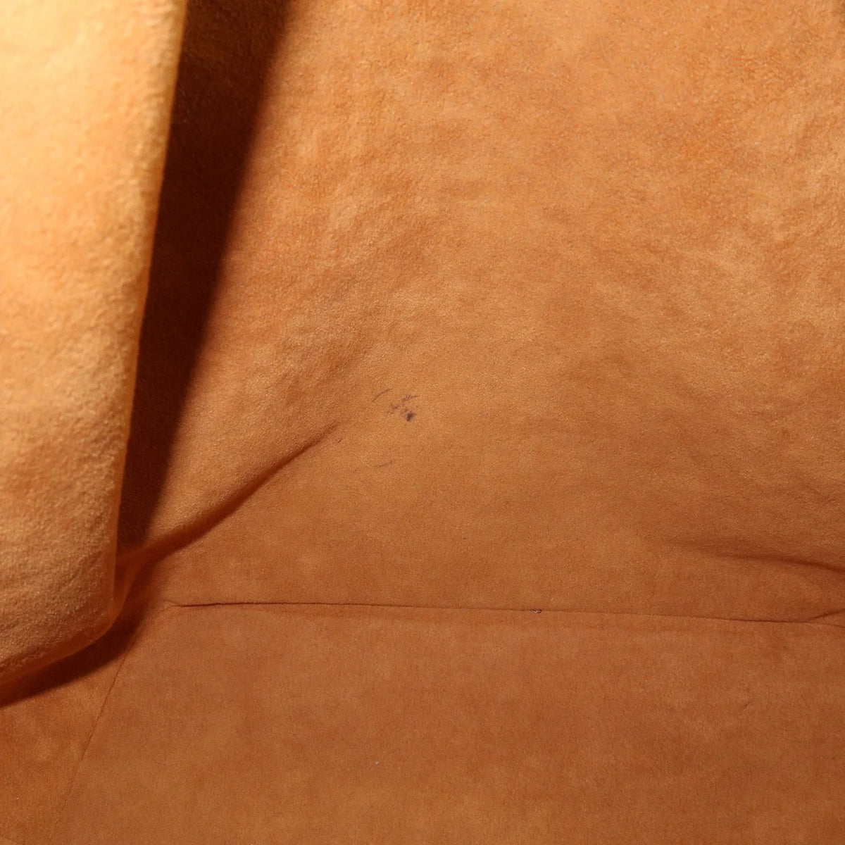 Louis Vuitton - Petit Noé Cuir épi Gold
